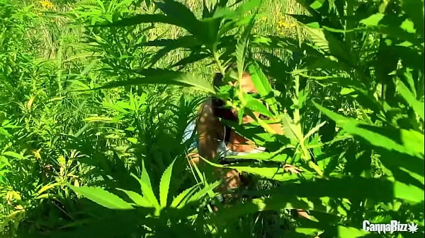 Milf celebrates 420day with outdoor BBC pounding Amsterdam